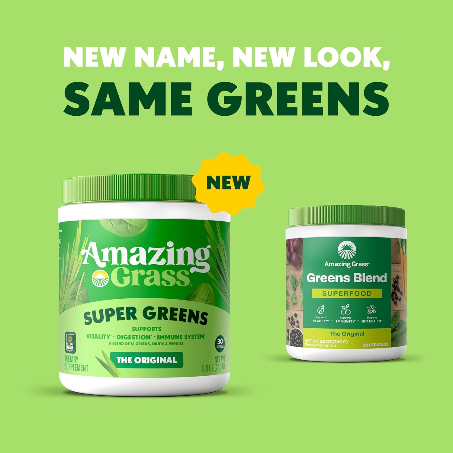 Greens Powder Stacking: Ingredient Intelligence for Your Morning Blend