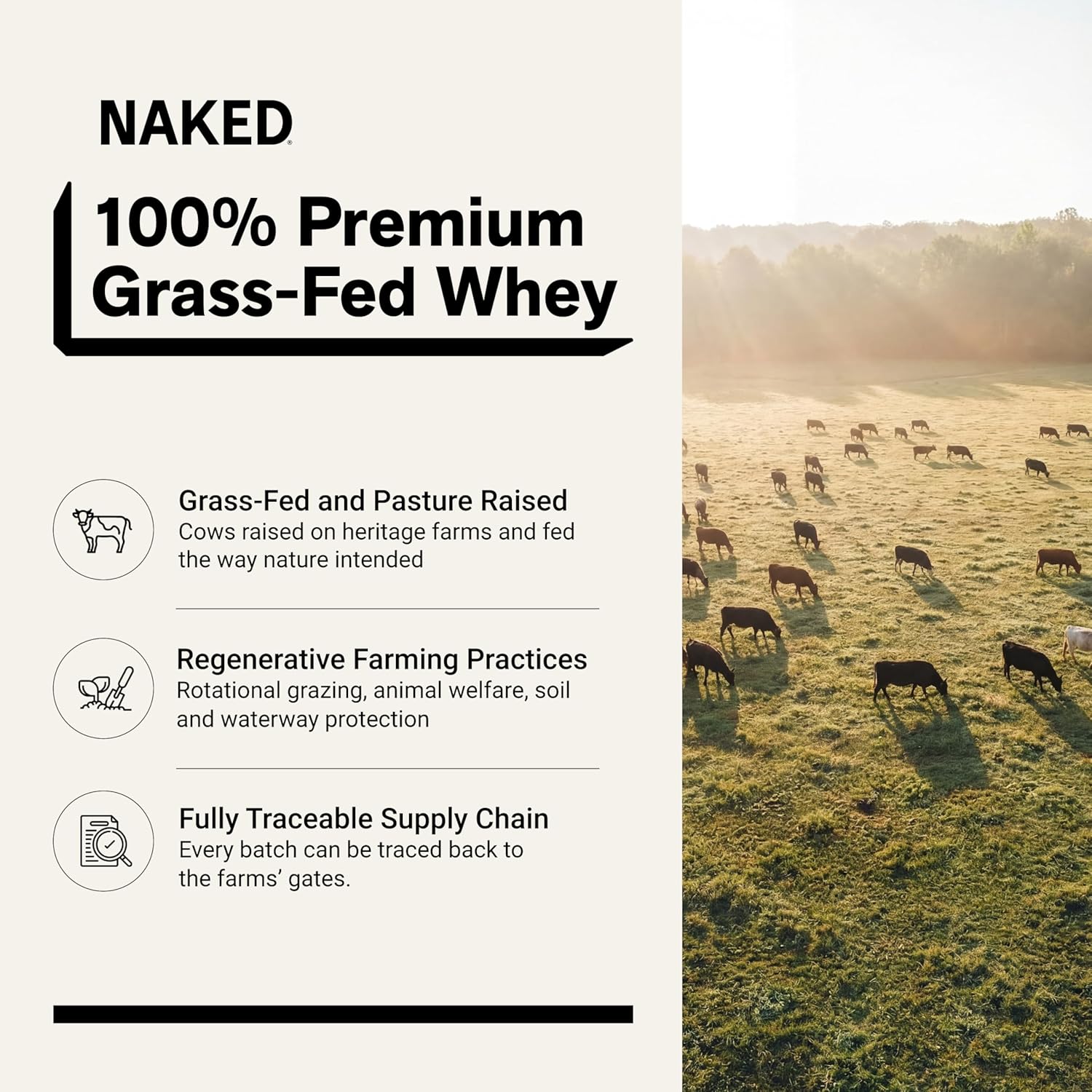 NAKED product image